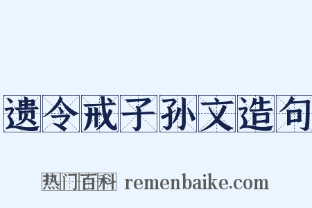 遗令戒子孙文造句是什么意思的图片